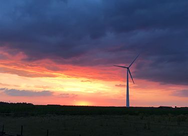 XL Zirkuswagen in Ruhe und Natur - 26
