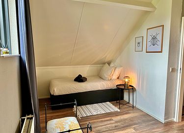 Forest cabin with large garden and hot tub - 29
