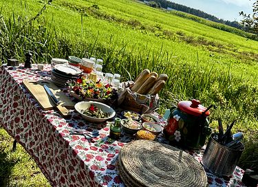 Yourte colorée dans un camping écologique à Groningue - 26