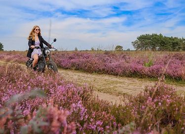 Familiehuis voor 12 personen op de Veluwe - 43