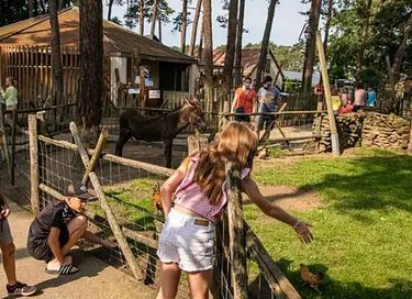 6-persoons tiny house op leuk vakantiepark - 26
