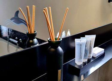 Luxuriöse Ferienwohnung mit privatem Wellness und Garten - 20