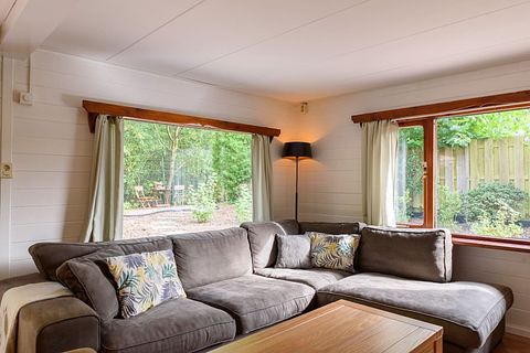 Cabane en rondins robuste avec sauna dans la forêt - 4