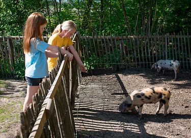 Glamping auf der Dairy & Calf Farm - 6