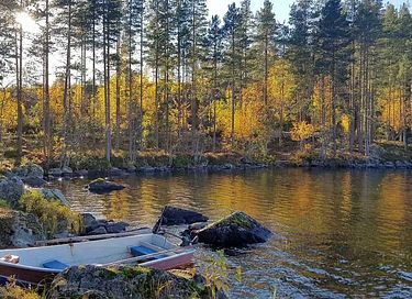 Unique forest cabin in Sweden - 28