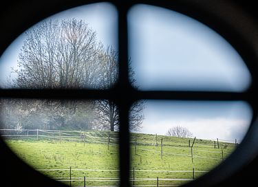 Roulotte d'antan dans le Limbourg (2-4 pers.) - 7