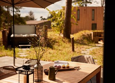 Wellness lodge (8p) in Drenthe - 2