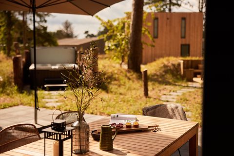 Wellness lodge (8p) in Drenthe - 2