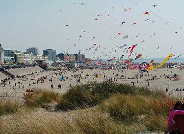 Vakantiehuis op 900m van zee in Frankrijk - 2