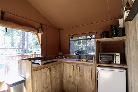Luxury safaritent on the Veluwe - 3