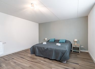 Spacious 10-person vacation villa on Texel - 11