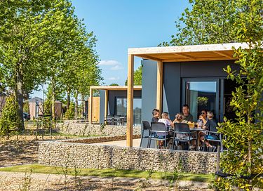 Houten tiny house in Limburg  - 3