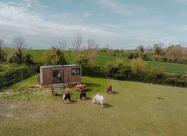 Tiny house tussen de paarden en pony's