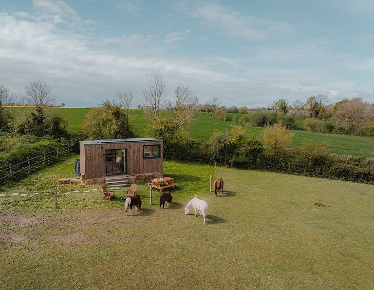 Tiny House zwischen Pferden und Ponys - 1