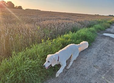 Catch your breath in the Flemish Ardennes - 26