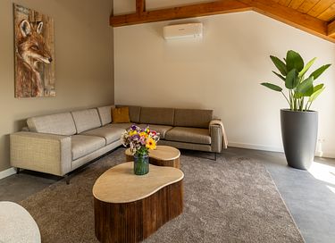 Dog-friendly holiday home on the Veluwe - 9