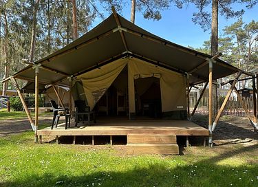 Tente de glamping pour 4 personnes dans le Limbourg belge