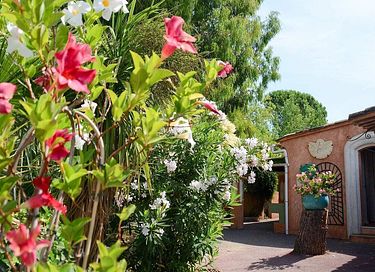 Glamping-Zelt (6P) in Südfrankreich - 35