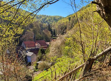 abin with a large gardenin the Harz Mountains - 46