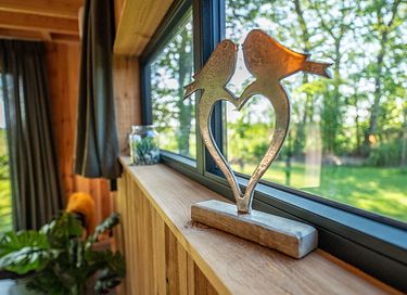 Waldhaus mit Wellness und Aussicht in Drenthe - 12