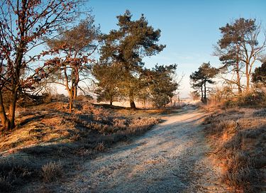 Groepsaccommodatie met sauna voor 14 personen - 18