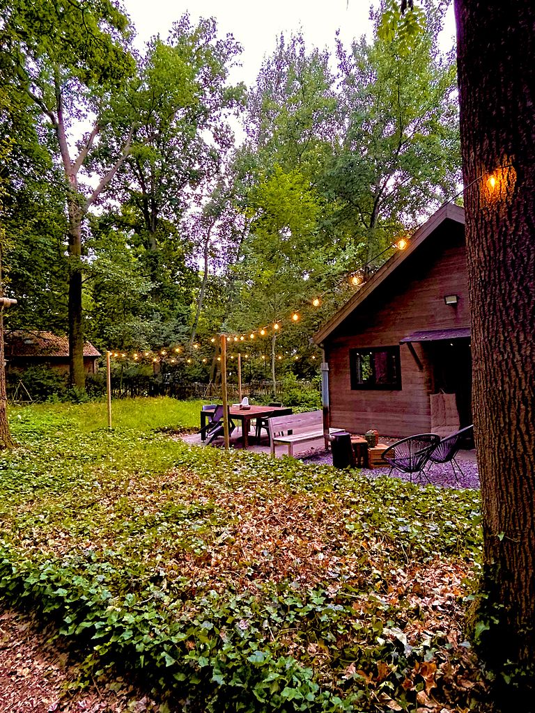 Gemütliche Waldhütte mit großem Garten in der Nähe von Ypern - 1
