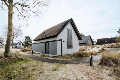 Luxe vakantiewoning omringd door de duinen - 4
