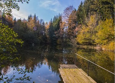 Gîte de charme dans les bois ardennais - 14