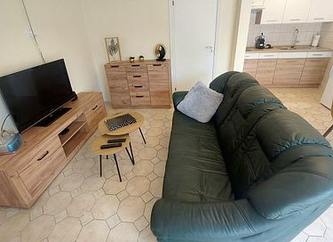 Appartements accueillants pour les animaux - 9