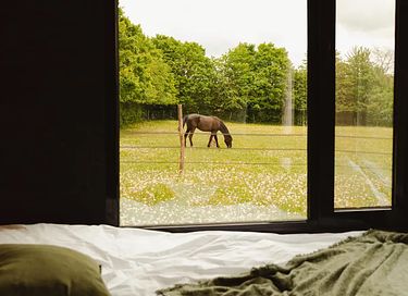 Tiny house bij een boerderij met paarden - 7