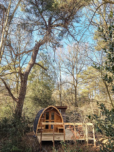 Joli pod en pleine nature en Drenthe - 5