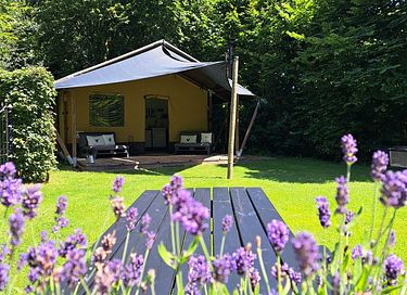 Luxe safaritent voor 4 personen - 3