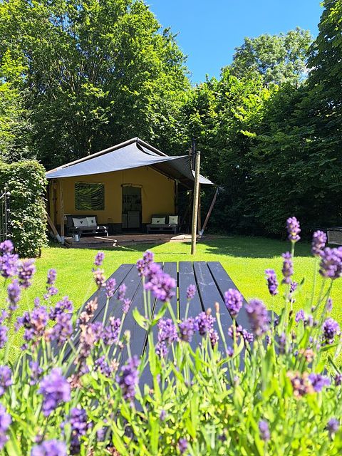 Luxe safaritent voor 4 personen - 3