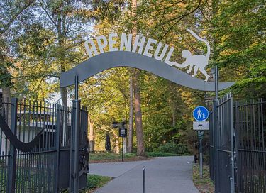 8-persoons huisje in een bosrijke omgeving - 20