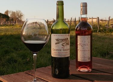 Tiny house au milieu des vignes près de Bordeaux - 13