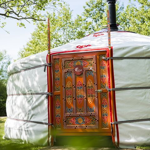 Spacious yurt in unique park in nature - 2