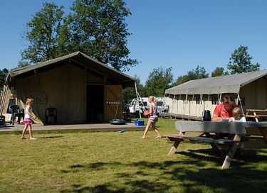 Glamping tent on family campsite near Veluwe - 4