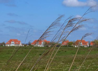 Spacious vacation home near beach on Ameland - 23