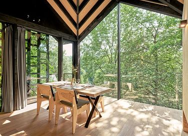 Unique cabane dans les arbes avec sauna privé dans les Ardennes - 5