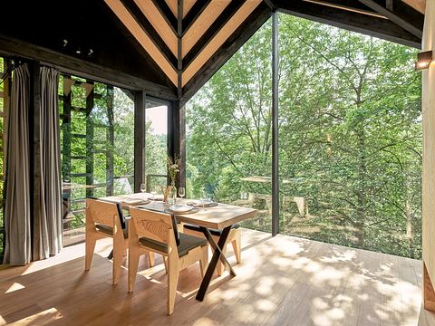 Unique cabane dans les arbes avec sauna privé dans les Ardennes - 5