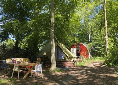 Belltent tussen de bomen vlakbij Groningen - 6