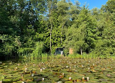 Knus verblijf direct aan het water in een bos - 6