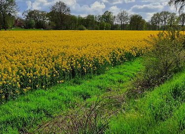 Omgebouwde leger operatiewagen in de natuur! - 18