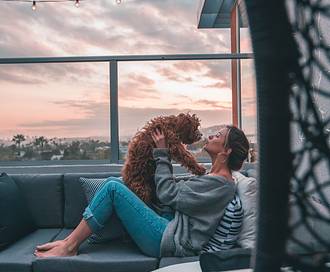 5 notti speciali in Belgio con il tuo cane