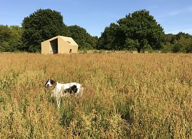 Rustgevende trekkershut (tiny house)  - 2