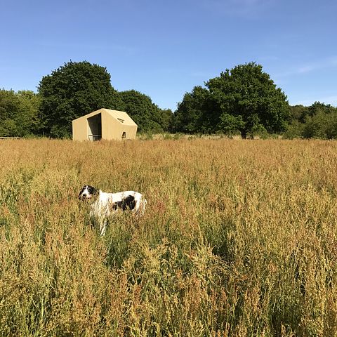 Rustgevende trekkershut (tiny house)  - 2
