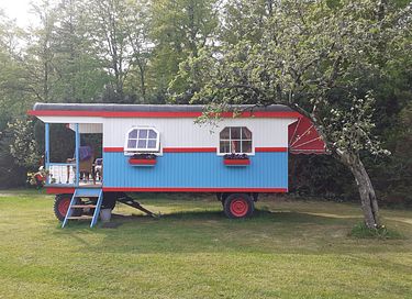 Spend the night in a colorful circus wagon - 5
