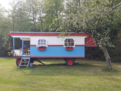 Spend the night in a colorful circus wagon - 5
