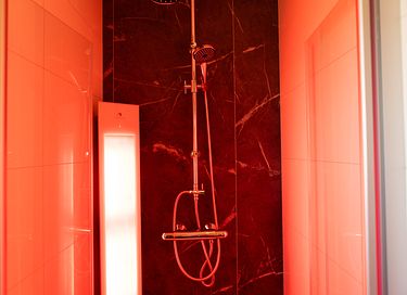 Luxe wellness chalet met sauna - 14