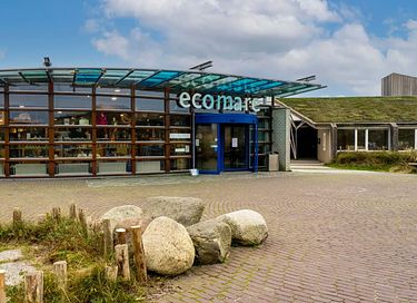 Spacious villa with sauna and hot tub on Texel - 28